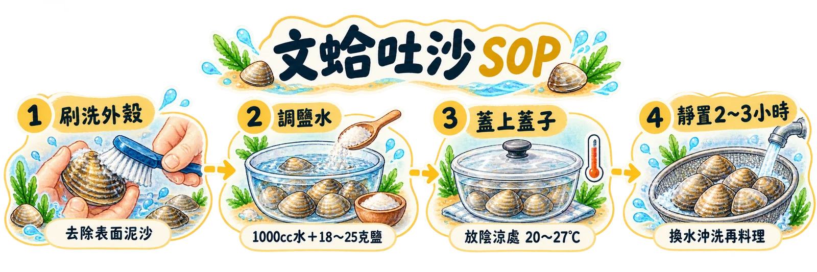文蛤吐沙 SOP